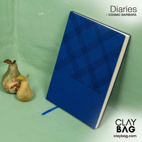 CosmoBarbara_Diaries_Claybag_07