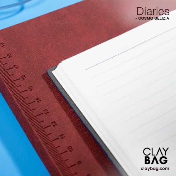 Cosmo_Belizia_Claybag_08
